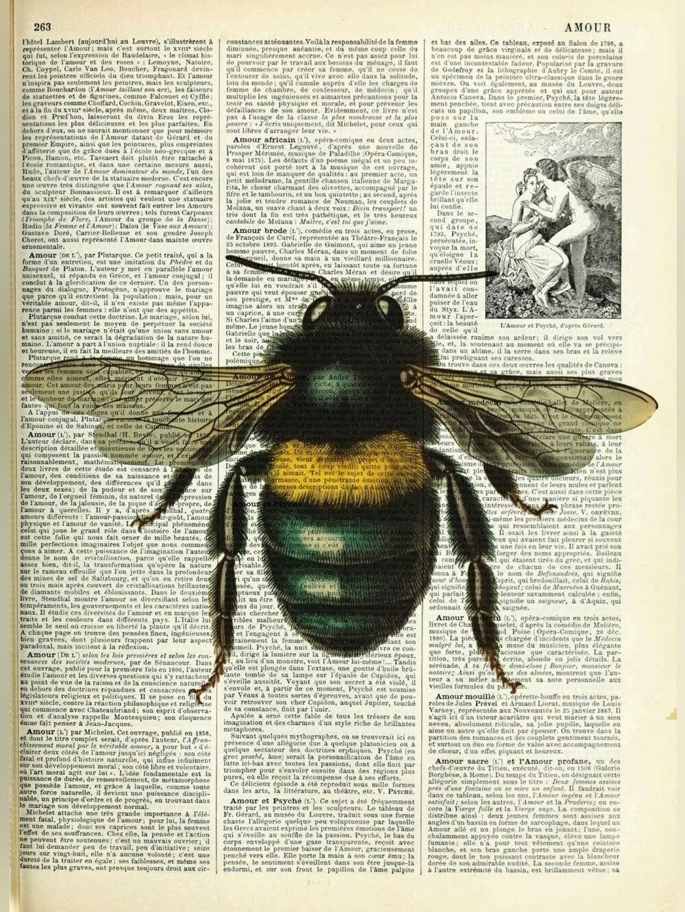Vintage Bee Wall Art Print on Textured Page - Black, Yellow, Brown